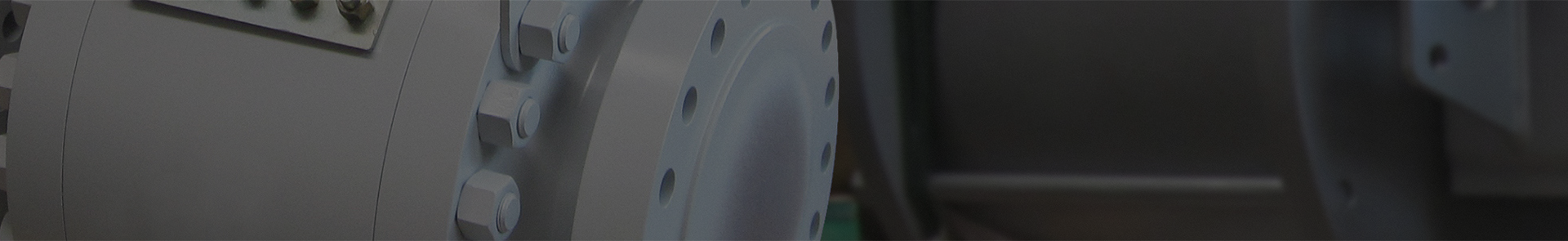 What's New at YBV Valve