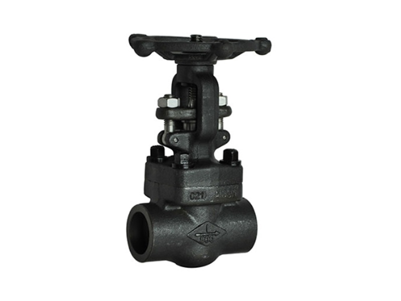 Forged steel gate valve
