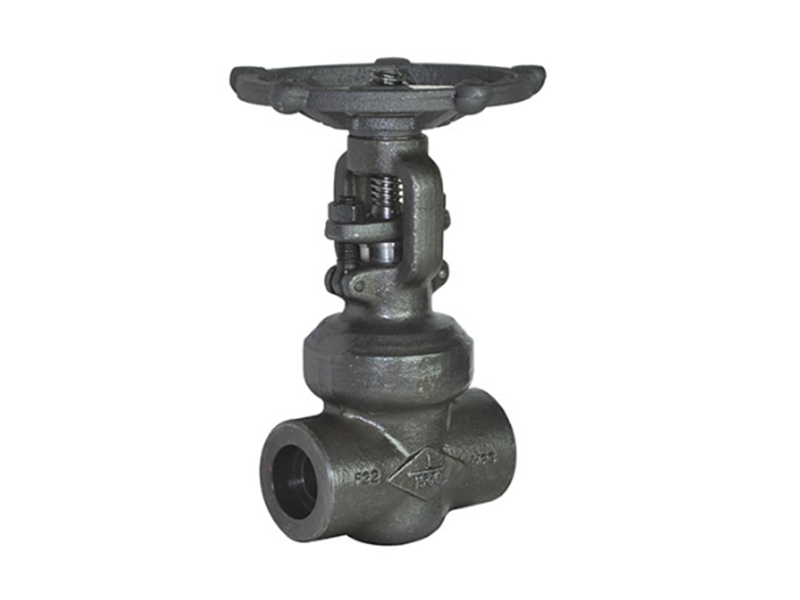 Forged steel gate valve