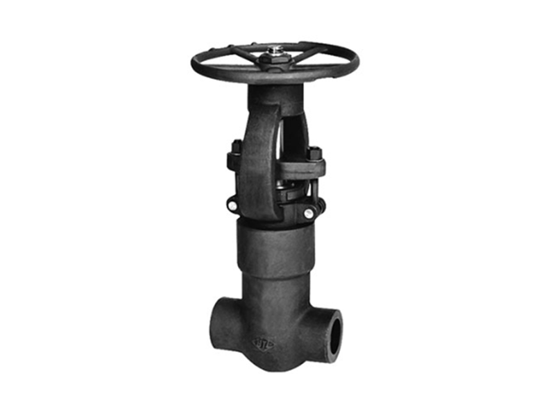 Forged steel gate valve