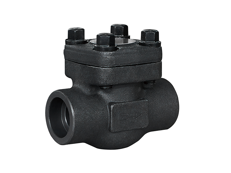 Forged steel check valve