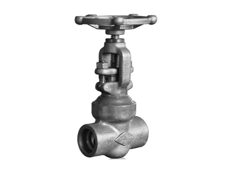 Forged steel stop valve