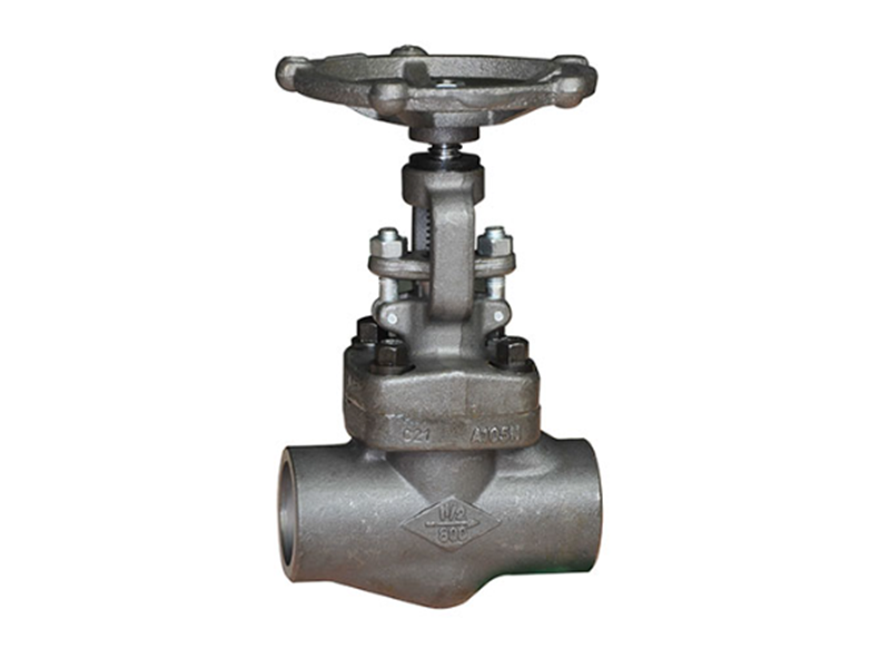 Forged steel stop valve